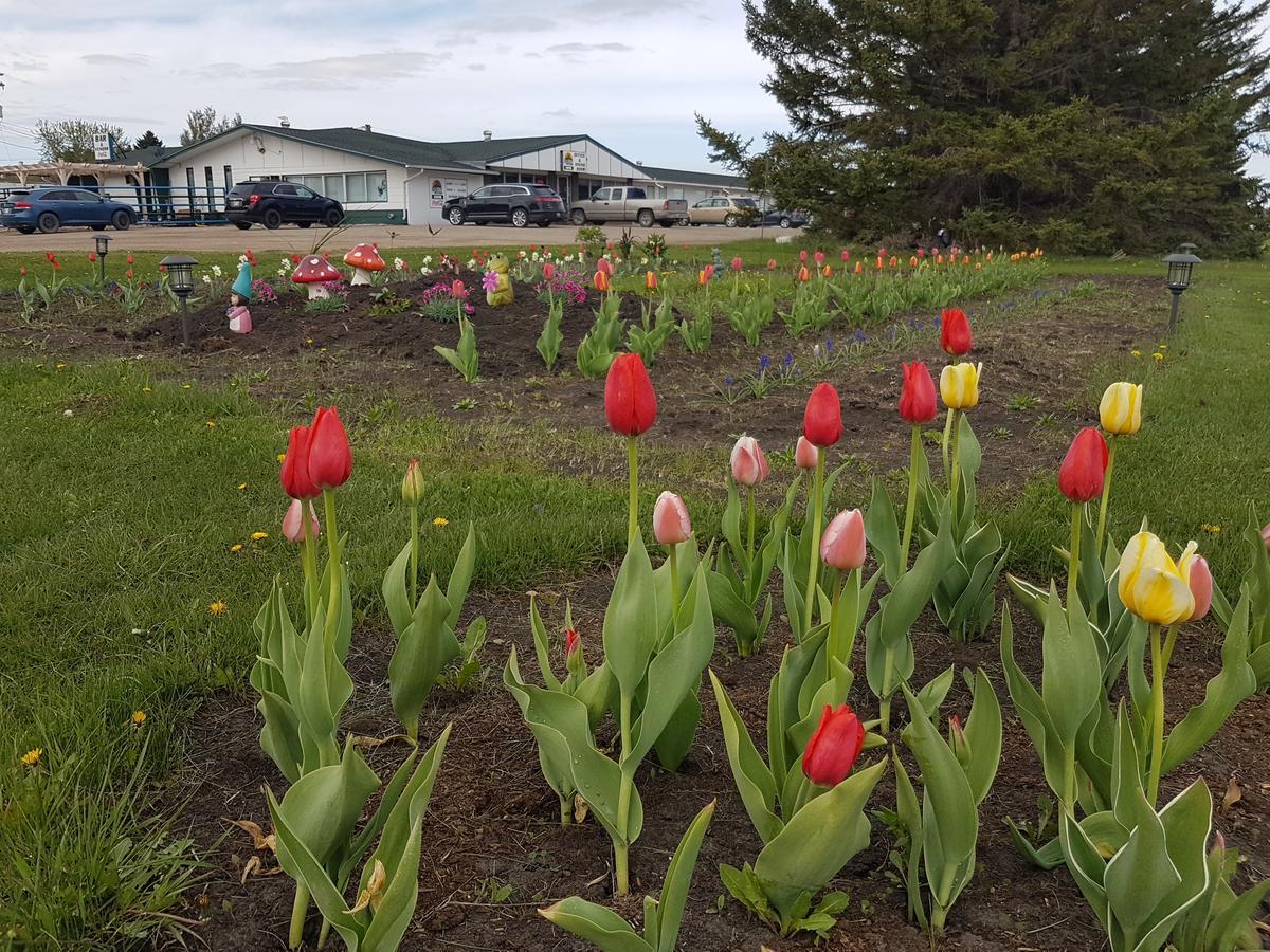 Glenboro Spruce Woods Inn المظهر الخارجي الصورة