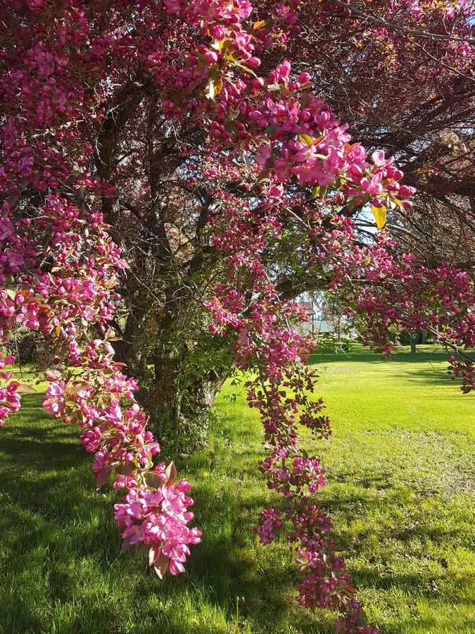 Glenboro Spruce Woods Inn المظهر الخارجي الصورة